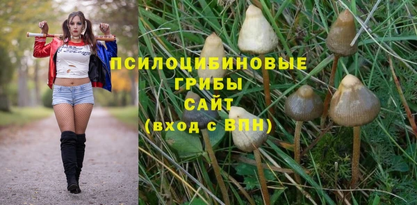 круглые Богданович